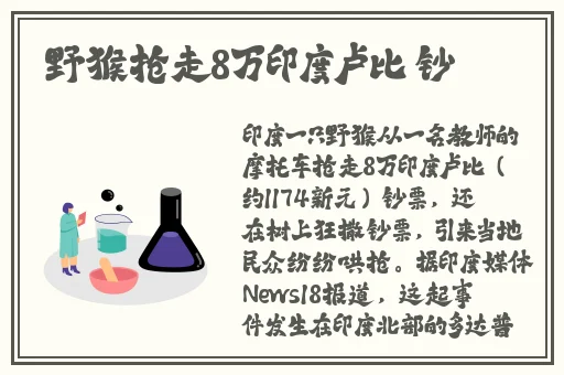 免费精品国产自产拍在线观看图片