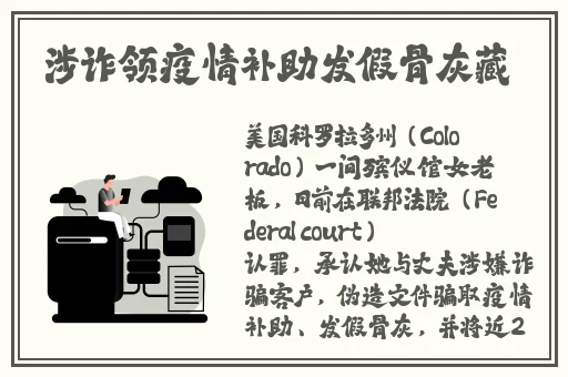 Zoom与动物Zoom的对比视频